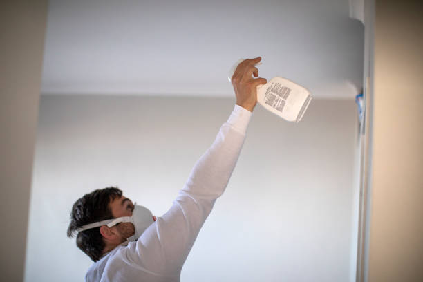 Plaquemine, LA Mold Remediation Company