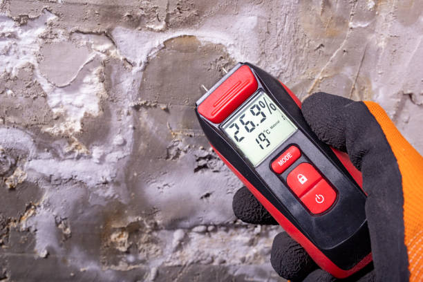 Best Insurance-Related Mold Remediation in Pquemine, LA
