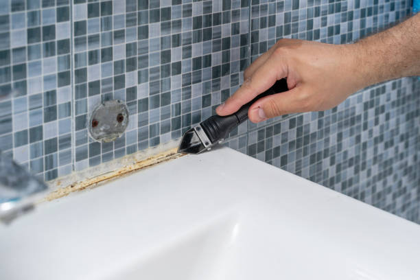 Best Post-Flood Mold Remediation in Pquemine, LA
